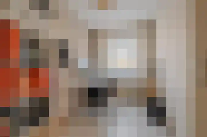 Violenstraat 24 d Sappemeer thumbnail 15