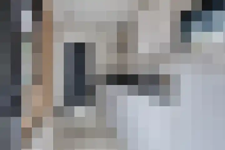 Violenstraat 32 Goes thumbnail 10