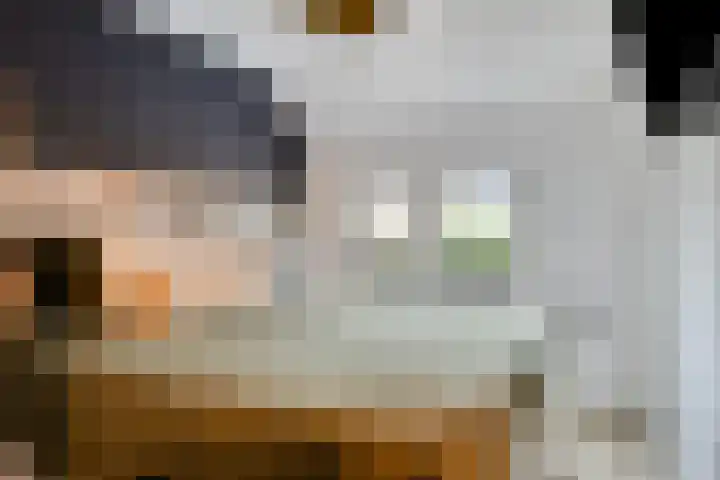 Violenstraat 32 Goes thumbnail 15