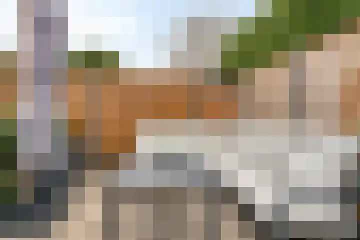 Violenstraat 32 Goes thumbnail 23