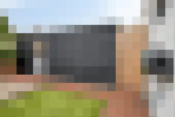 Violenstraat 32 Goes thumbnail 25