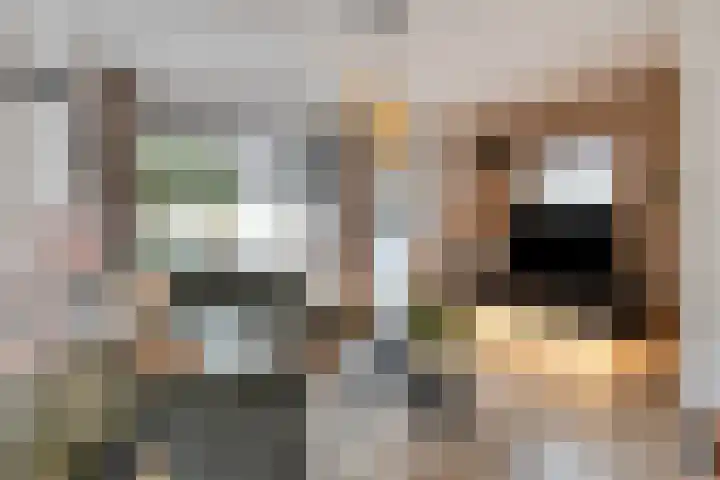 Violenstraat 32 Goes thumbnail 4