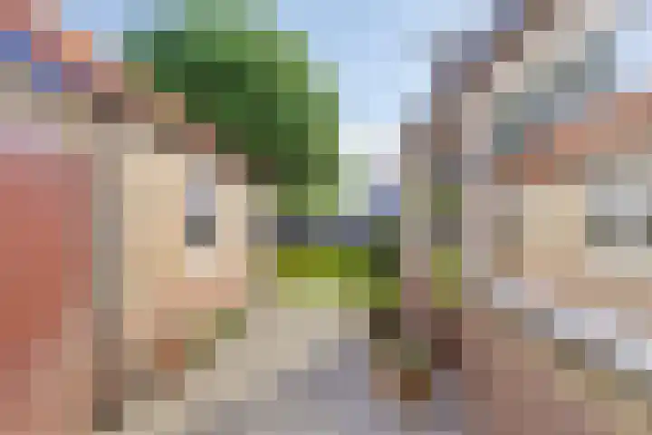 Violenstraat 48 Goes thumbnail 12