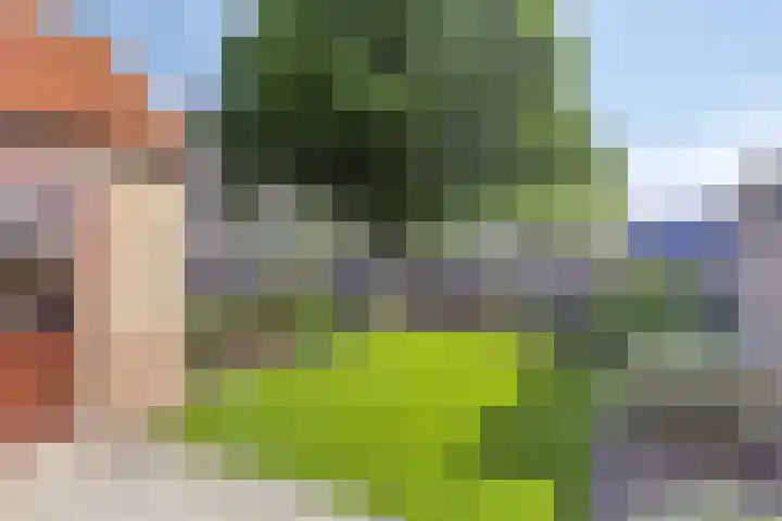 Violenstraat 48 Goes thumbnail 13