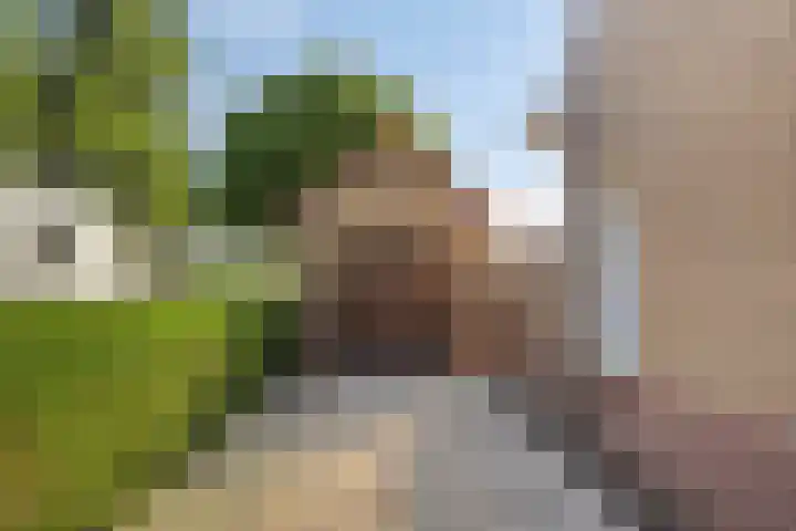 Violenstraat 48 Goes thumbnail 16
