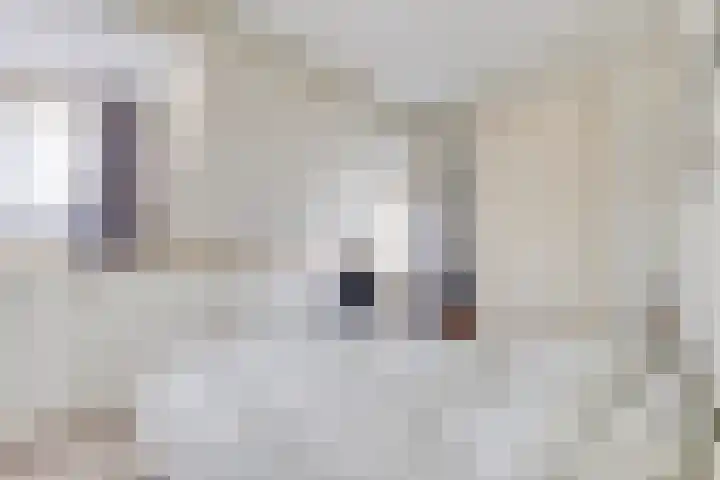 Violenstraat 48 Goes thumbnail 18