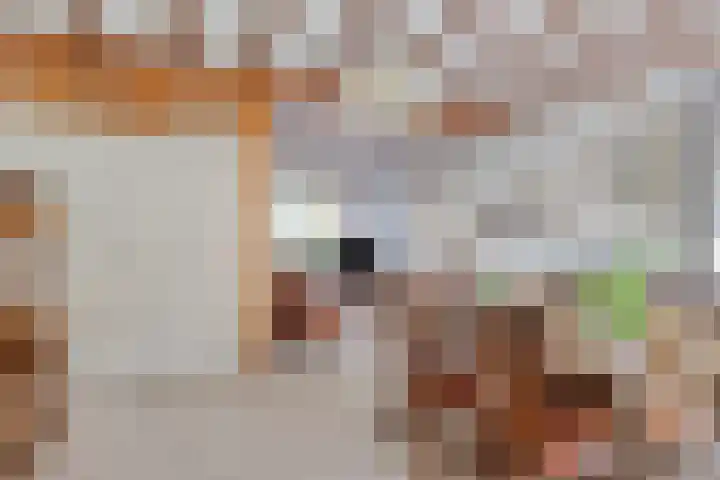 Violenstraat 48 Goes thumbnail 6