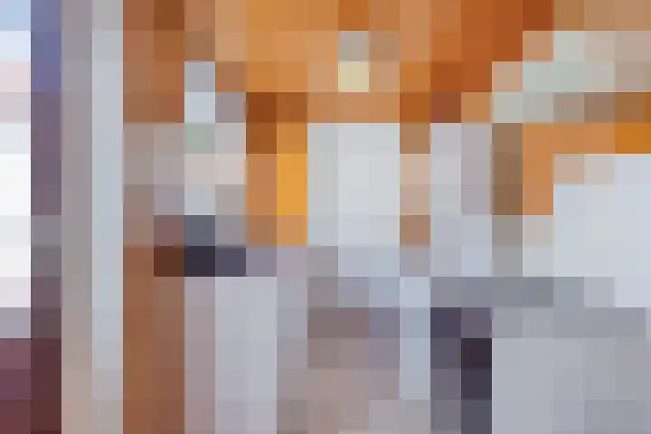 Violenstraat 48 Goes thumbnail 7