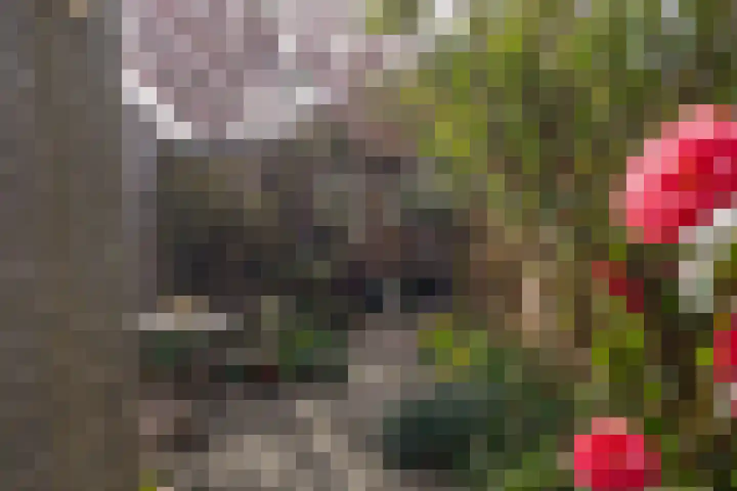 Violenstraat 78 Den Helder thumbnail 22