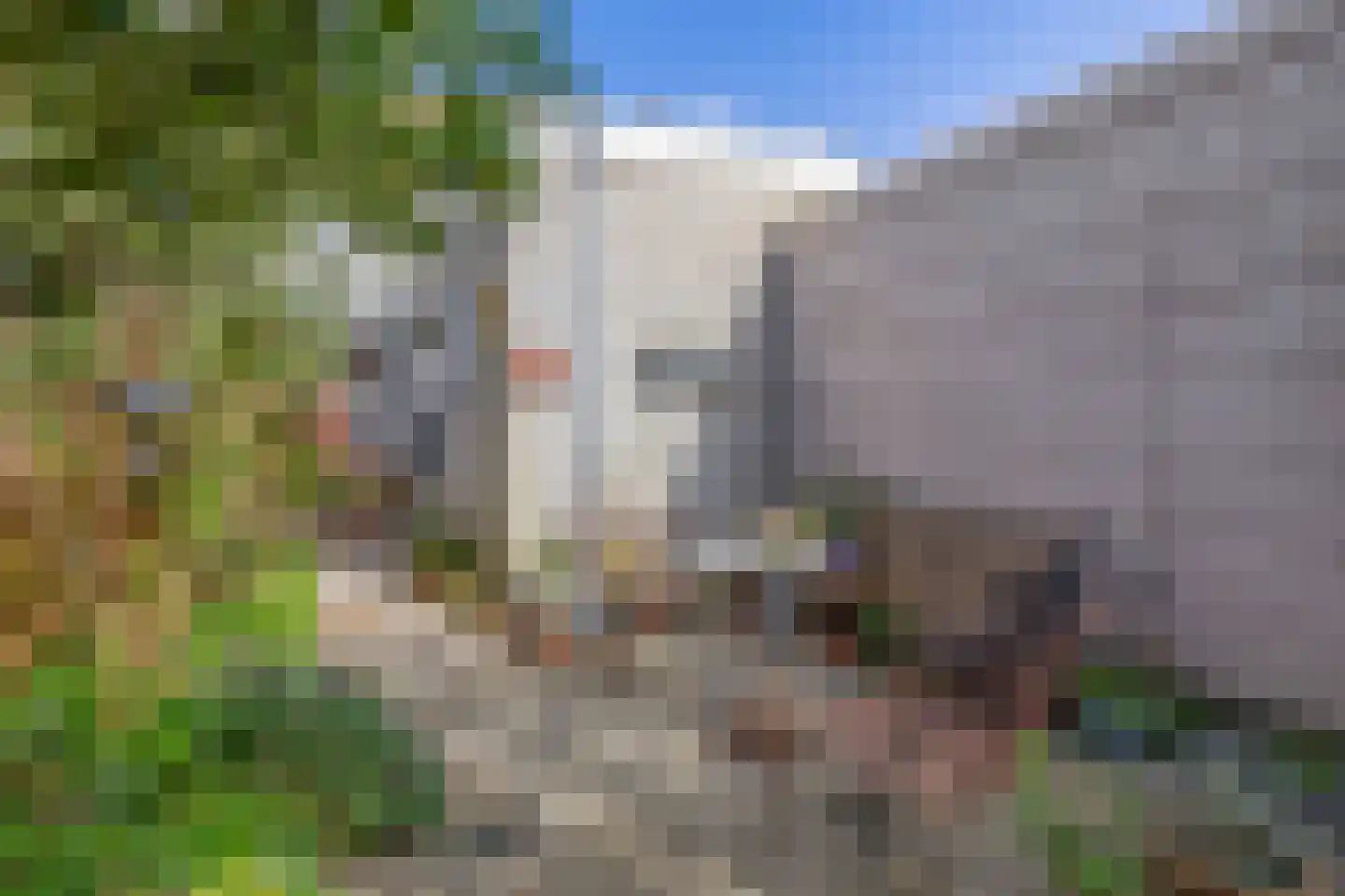 Violenstraat 78 Den Helder thumbnail 25