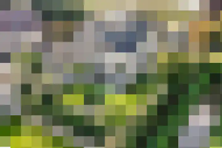 Violier 17 in Grave