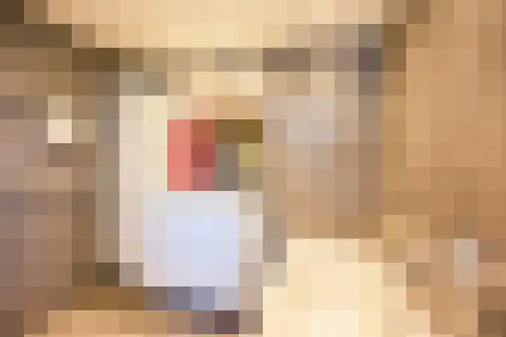 Violier 3 Grave thumbnail 26