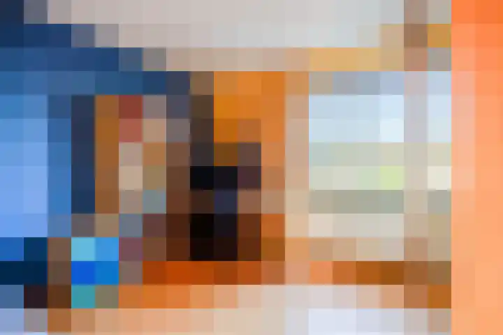 Violier 3 Grave thumbnail 30