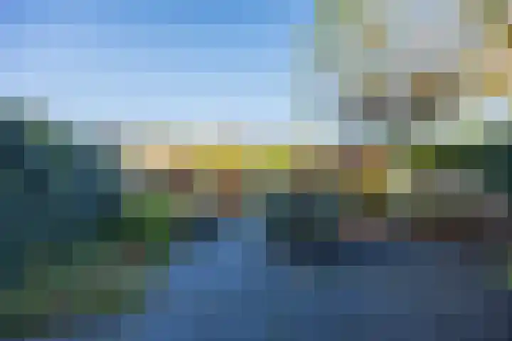Violier 3 Grave thumbnail 37