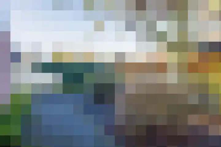 Violier 3 Grave thumbnail 43