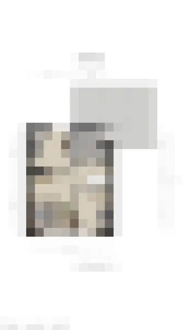 Violier 3 Grave thumbnail 46