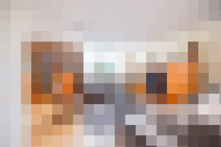 Violier 3 Grave thumbnail 6