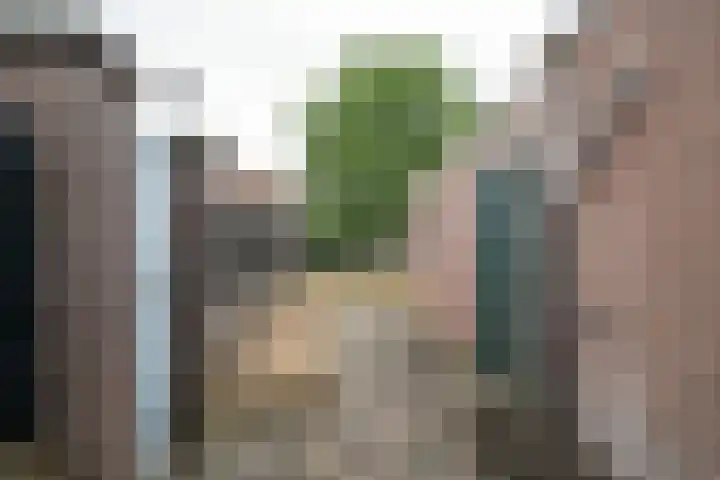 Violierstraat 122 Almelo thumbnail 22