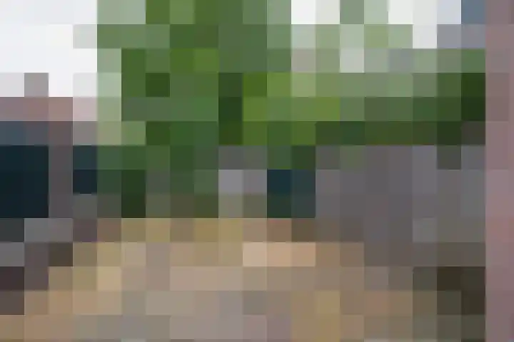 Violierstraat 122 Almelo thumbnail 24