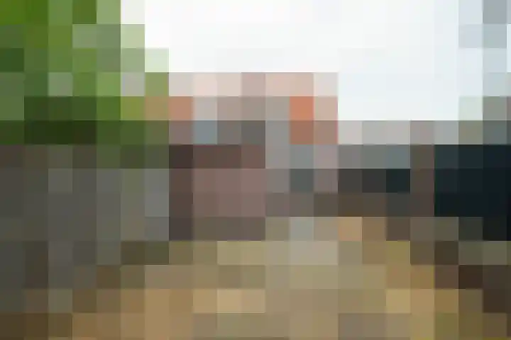 Violierstraat 122 Almelo thumbnail 25