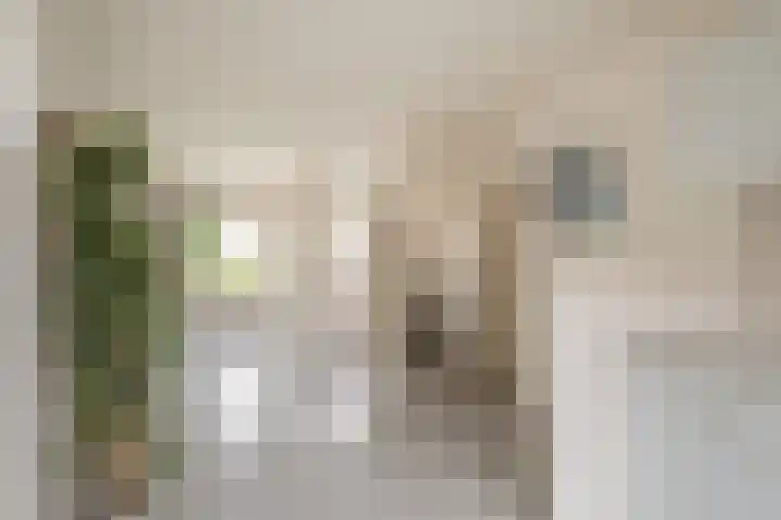 Violierstraat 122 Almelo thumbnail 9