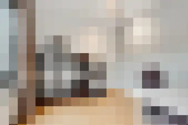 Violierstraat 42 Eindhoven thumbnail 20