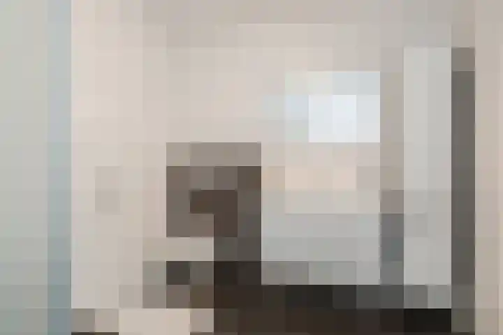 Violierstraat 42 Eindhoven thumbnail 26