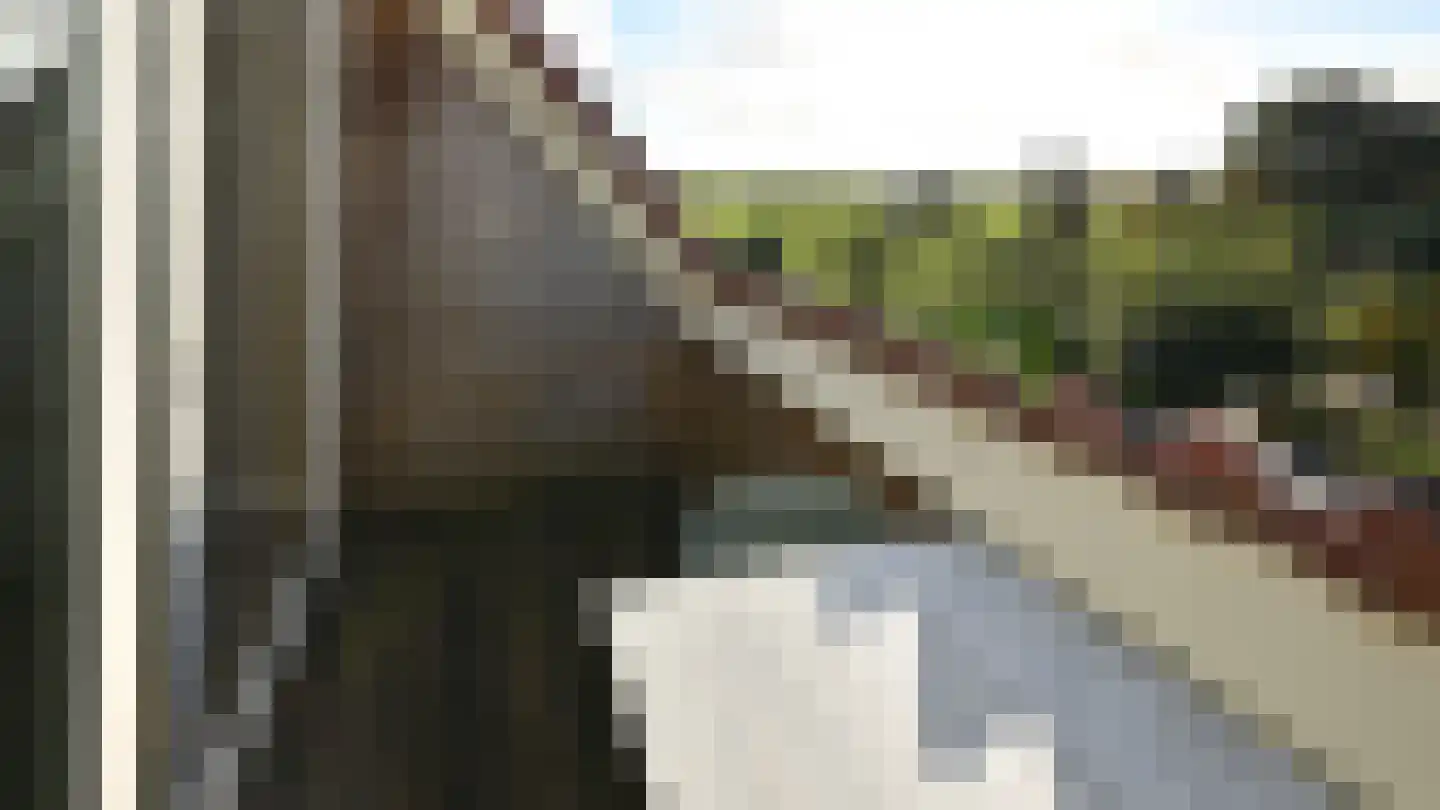 Violierstraat 42 Eindhoven thumbnail 30