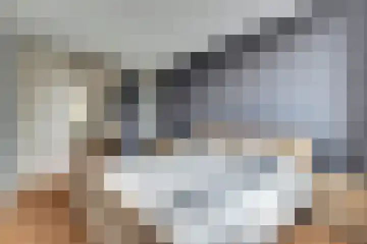 Viool 33 De Lier thumbnail 17