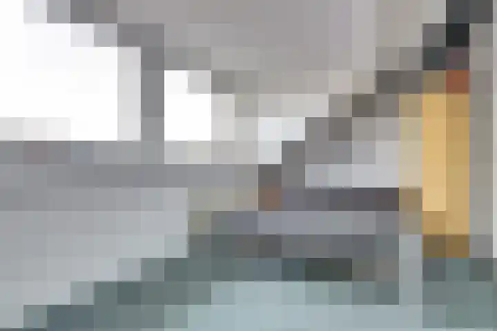 Viool 33 De Lier thumbnail 25