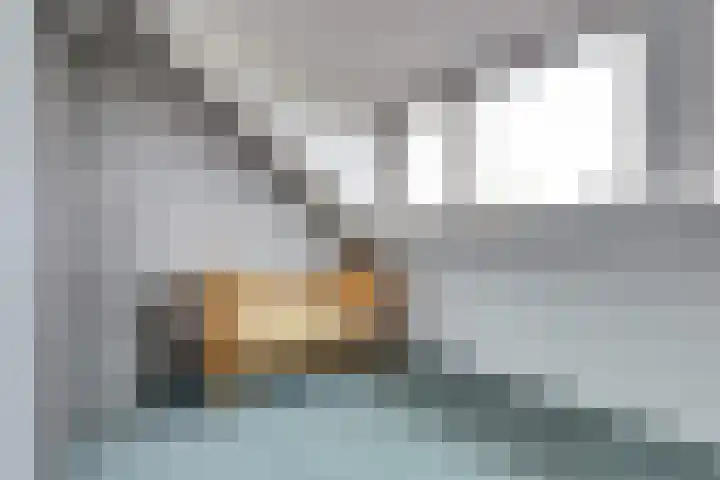 Viool 33 De Lier thumbnail 26