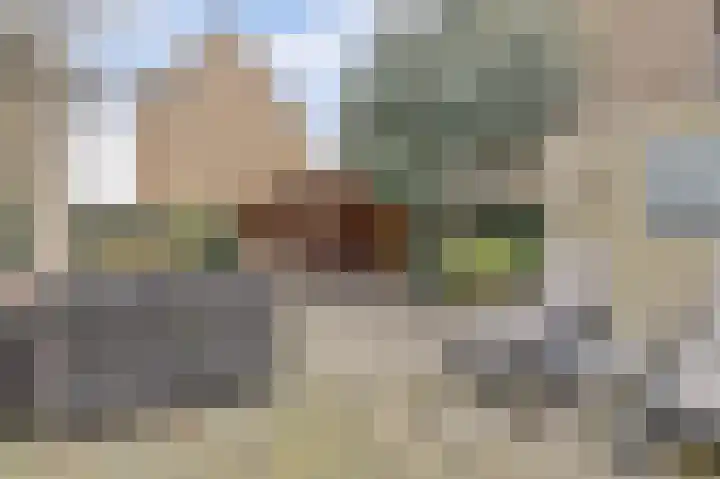 Viool 33 De Lier thumbnail 28