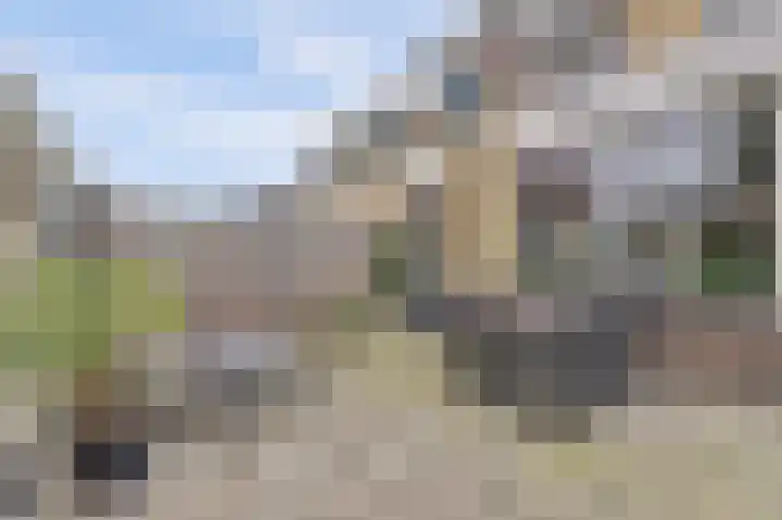 Viool 33 De Lier thumbnail 30