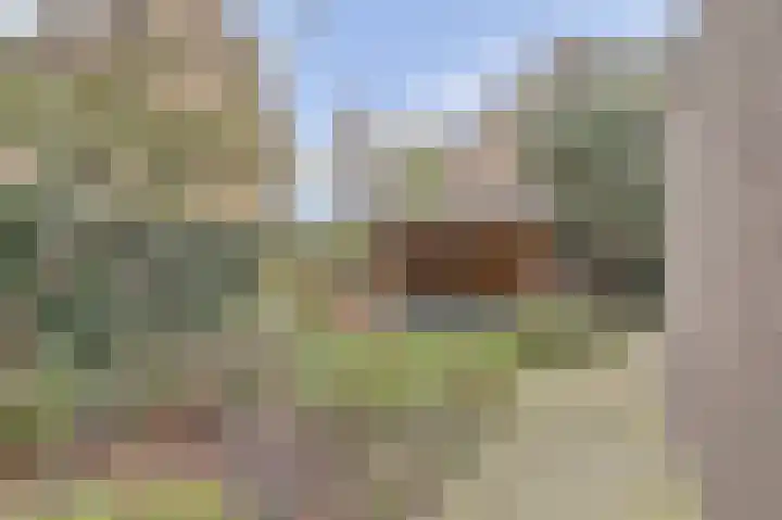 Viool 33 De Lier thumbnail 32