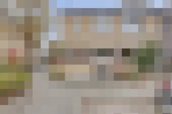 Viool 33 De Lier thumbnail 35