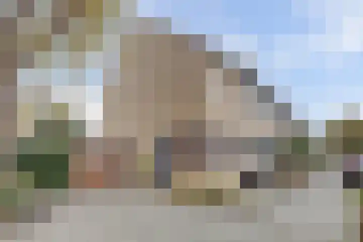 Viool 33 De Lier thumbnail 36