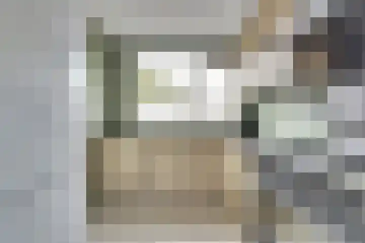 Viool 33 De Lier thumbnail 4