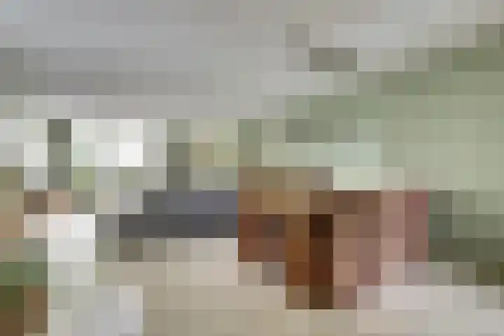 Viool 33 De Lier thumbnail 5
