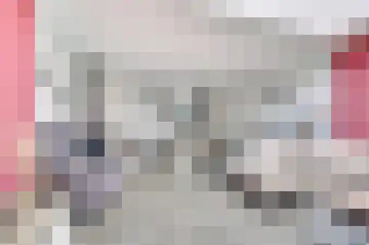 Viool 84 De Lier thumbnail 10