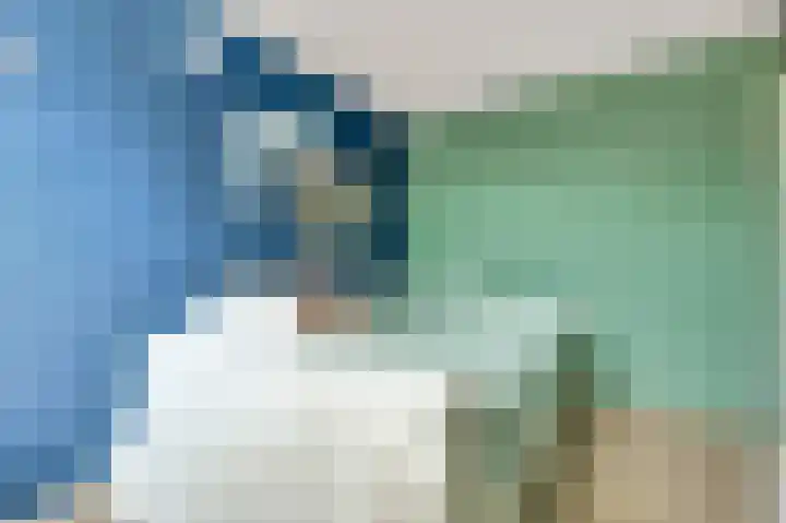 Viool 84 De Lier thumbnail 23