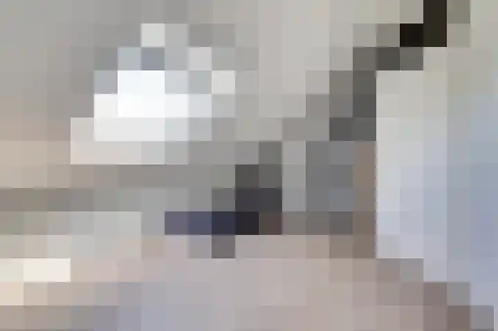 Viool 84 De Lier thumbnail 31