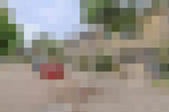 Viool 84 De Lier thumbnail 35