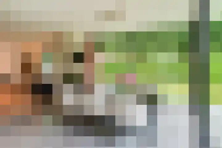 Viottalaan 1 Baarn thumbnail 10