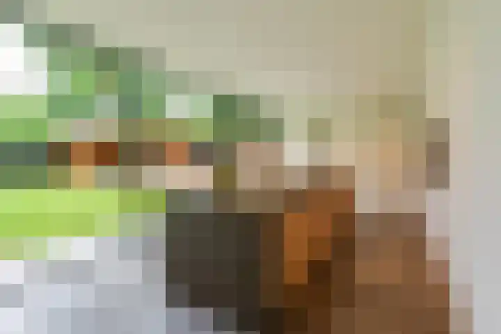 Viottalaan 1 Baarn thumbnail 13