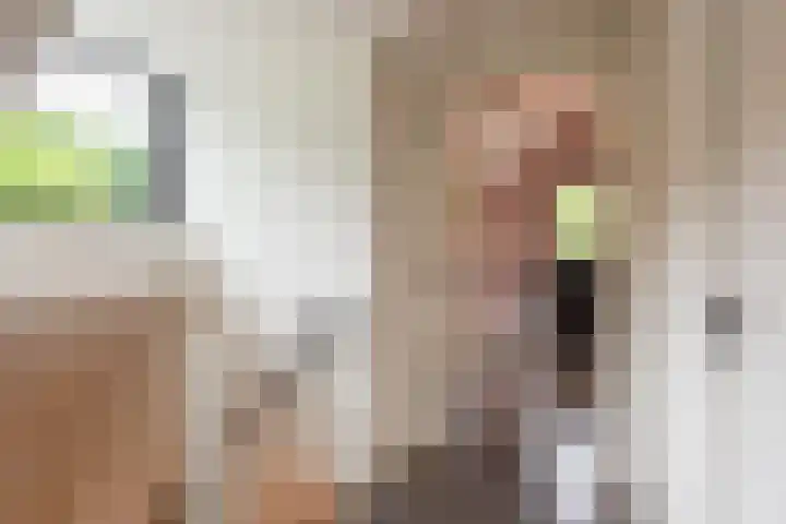 Viottalaan 1 Baarn thumbnail 25