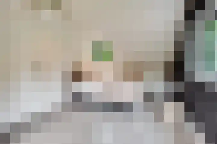 Viottalaan 1 Baarn thumbnail 29