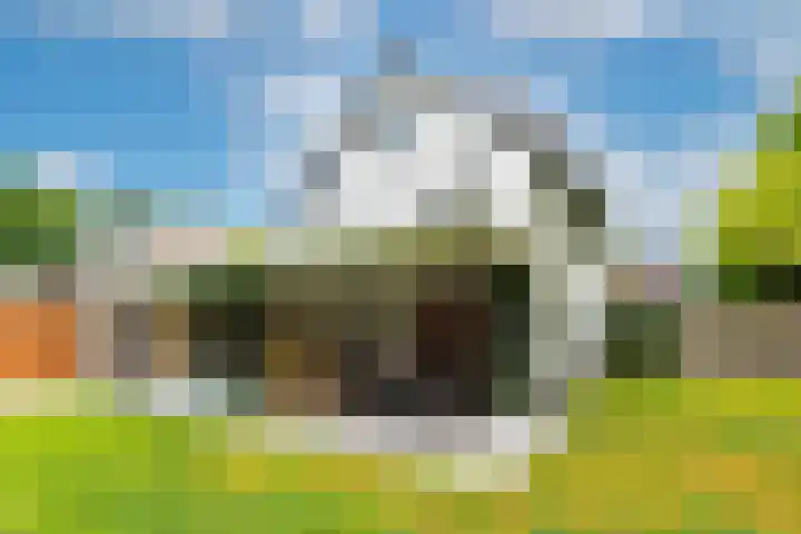 Viottalaan 1 Baarn thumbnail 31