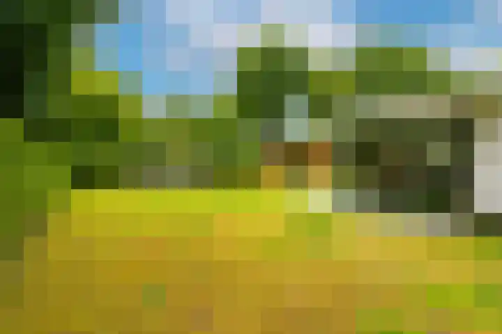 Viottalaan 1 Baarn thumbnail 32
