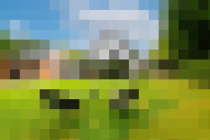Viottalaan 1 Baarn thumbnail 33