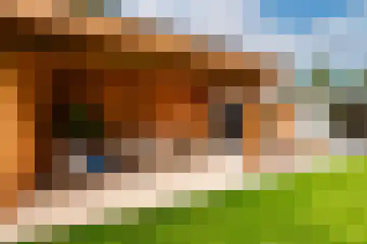 Viottalaan 1 Baarn thumbnail 34